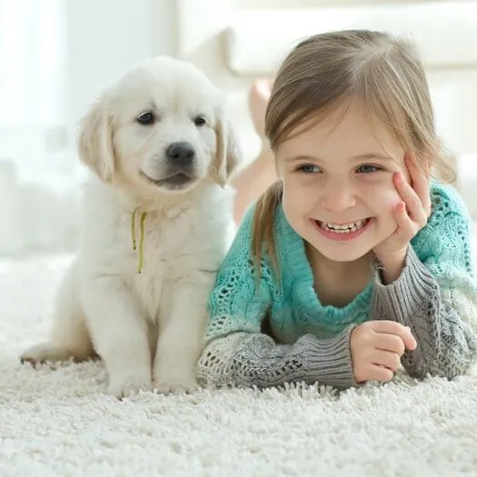 Carpet flooring | Flooring By Design NC