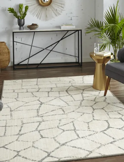 Area rug | Flooring By Design NC